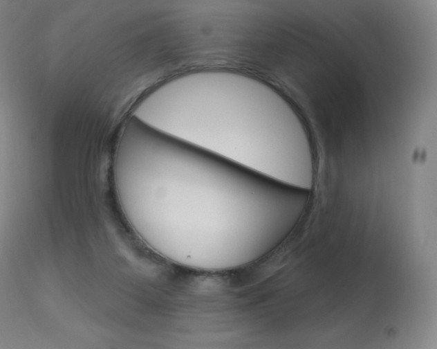 X0000113920115200909241338