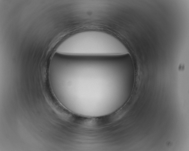 X0000113920116200909241338