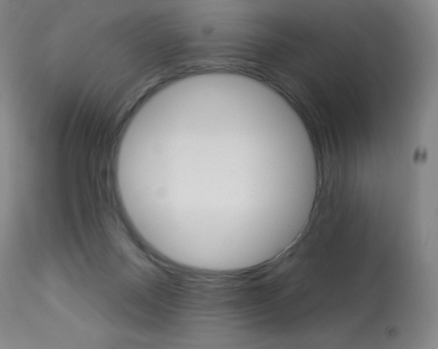 X0000113920120200909241338