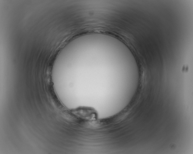 X0000113920121200909241338