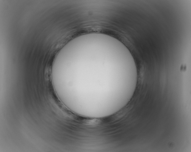 X0000113920122200909241338