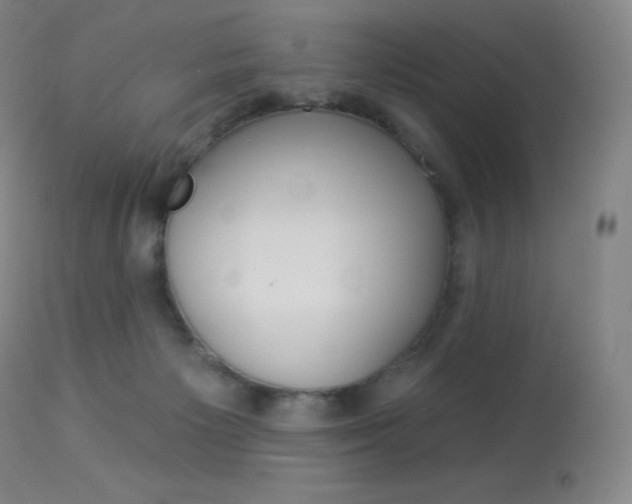 X0000113920125200909241338