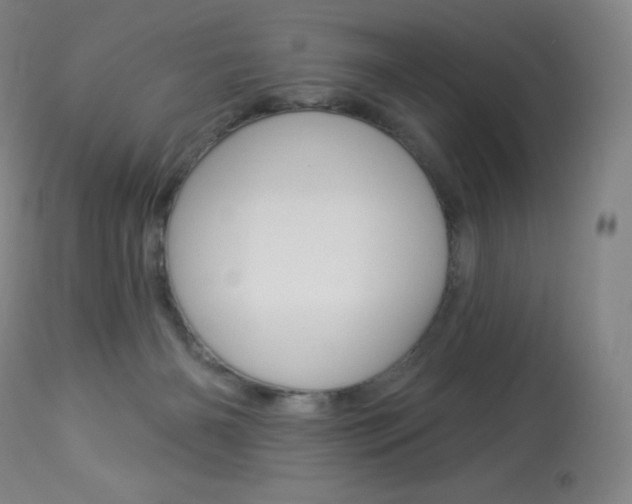 X0000113920126200909241338