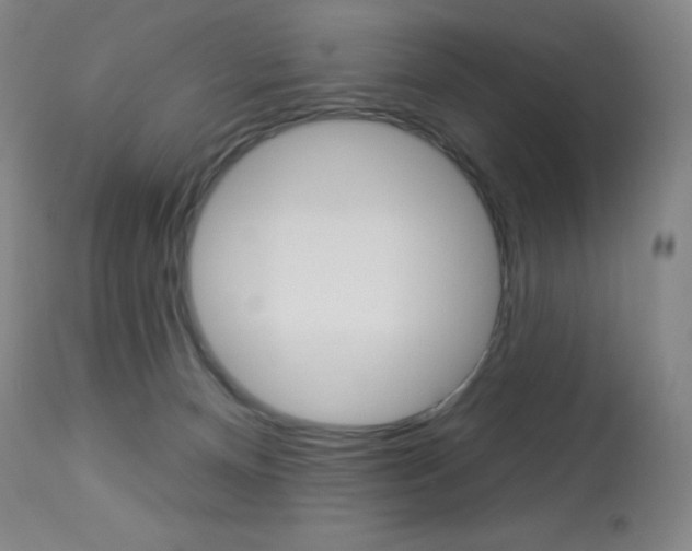 X0000113920128200909241338