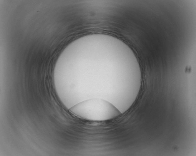 X0000113920129200909241338