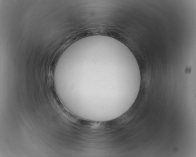 X0000113920130200909241338