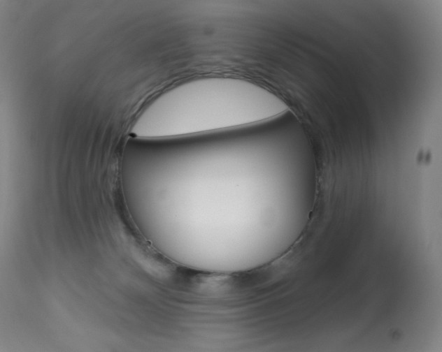 X0000113920132200909241338