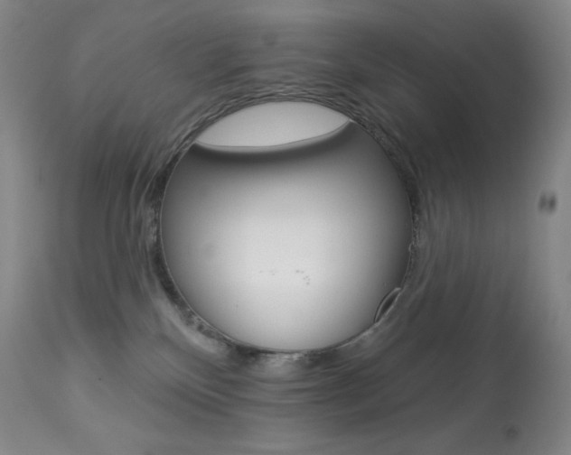 X0000113920136200909241338