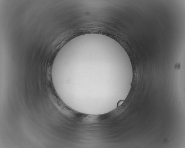 X0000113920138200909241338