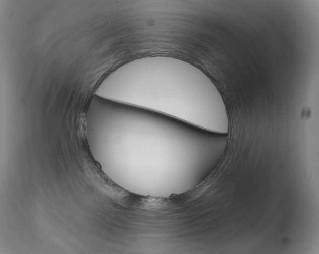 X0000113920141200909241338