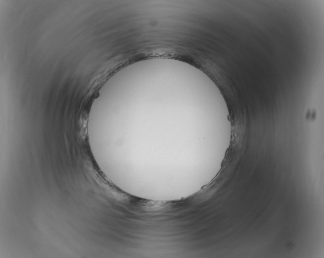 X0000113920142200909241338