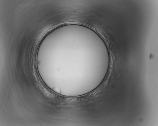 X0000113920145200909241337