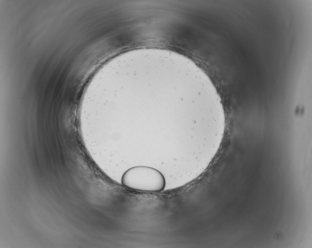 X0000113920146200909241337