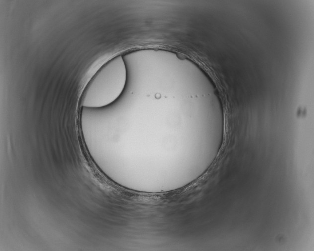 X0000113920147200909241337