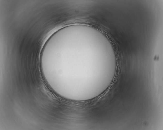 X0000113920148200909241337