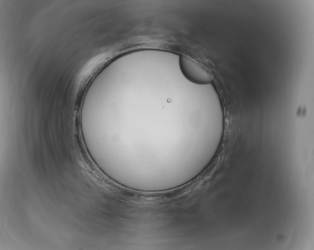 X0000113920149200909241337