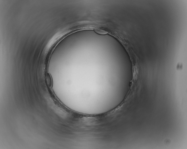 X0000113920150200909241337