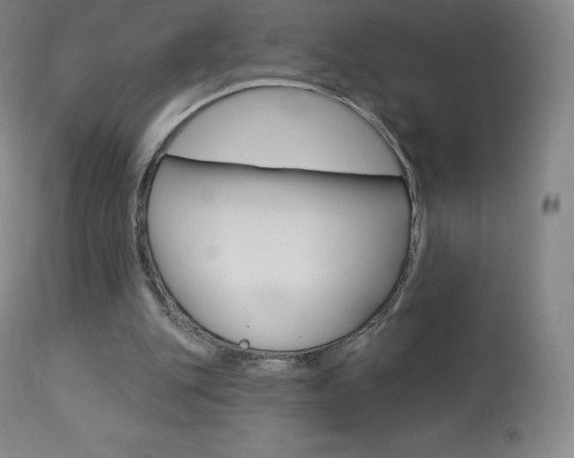 X0000113920151200909241337