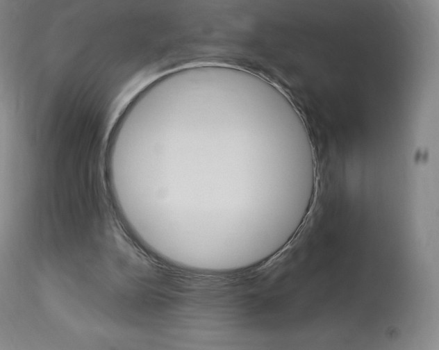 X0000113920152200909241337