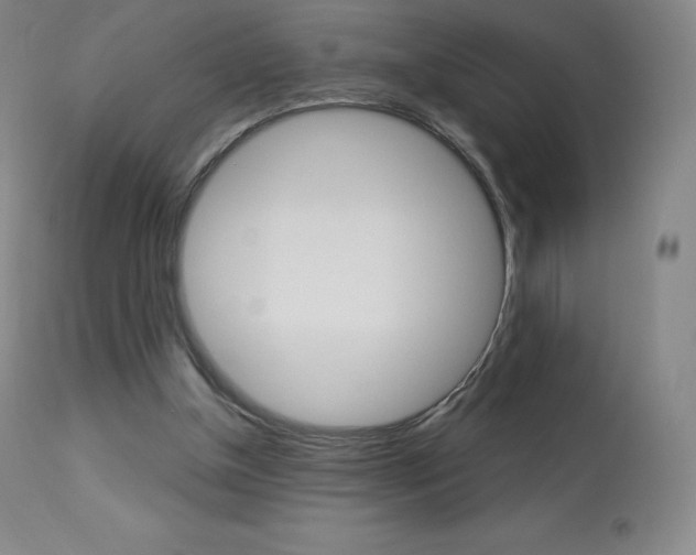 X0000113920154200909241337