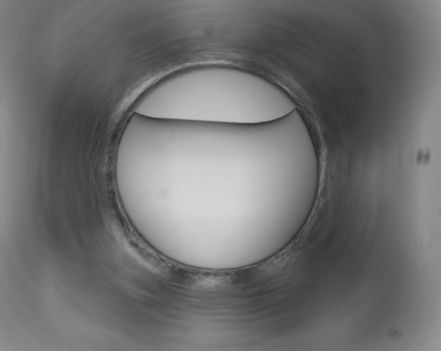 X0000113920155200909241337