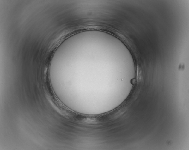 X0000113920157200909241337