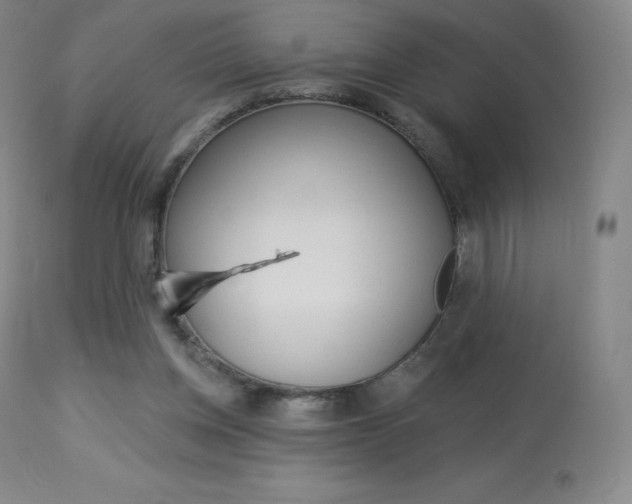 X0000113920158200909241337