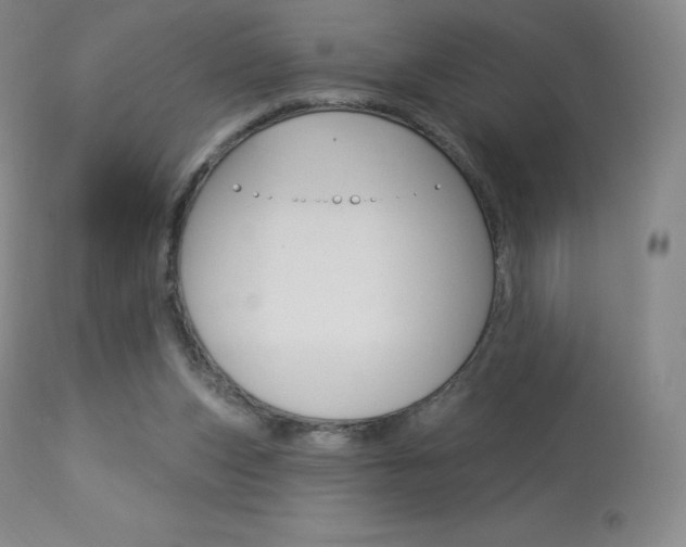 X0000113920159200909241337