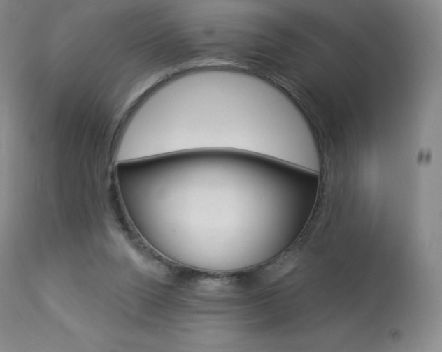 X0000113920160200909241337