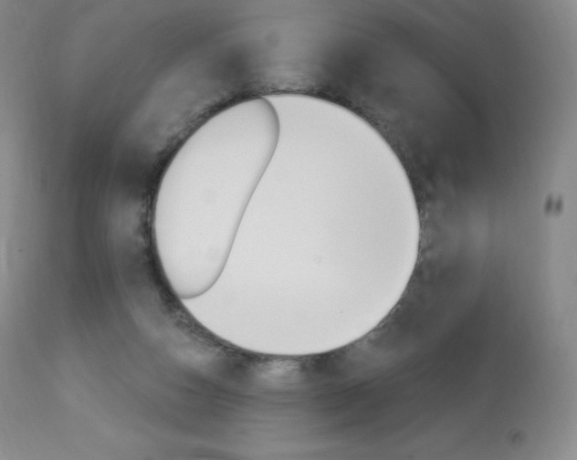 X0000113920162200909241337