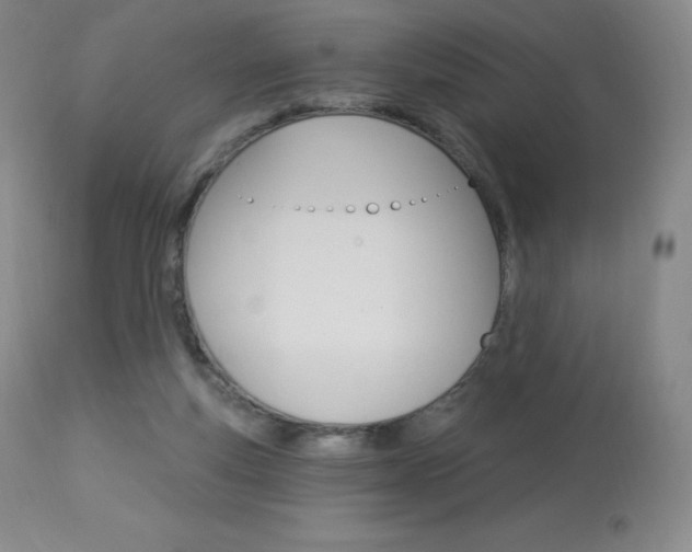 X0000113920163200909241337