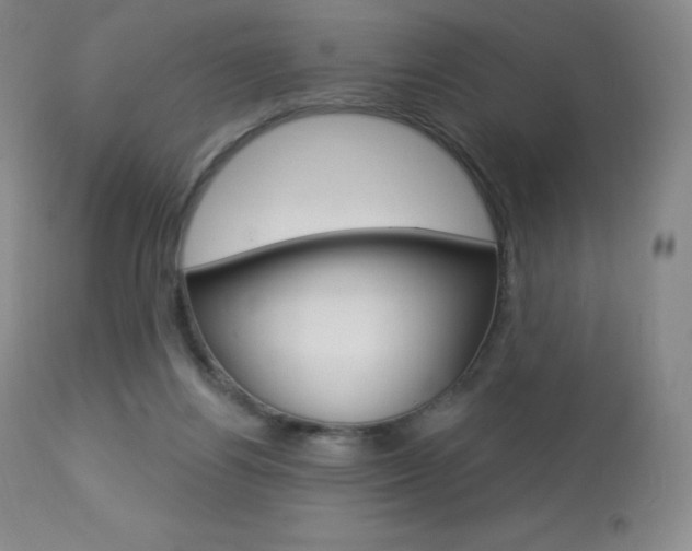 X0000113920164200909241337