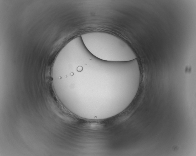 X0000113920165200909241337