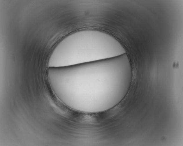 X0000113920166200909241337