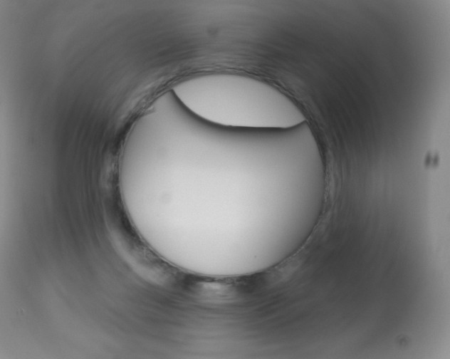 X0000113920167200909241337