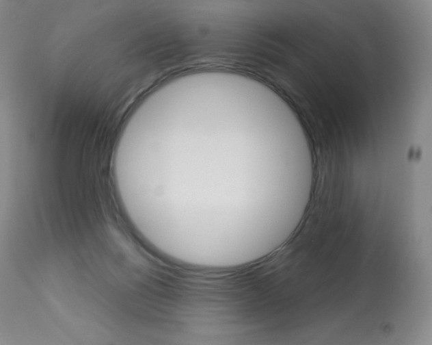 X0000113920168200909241338