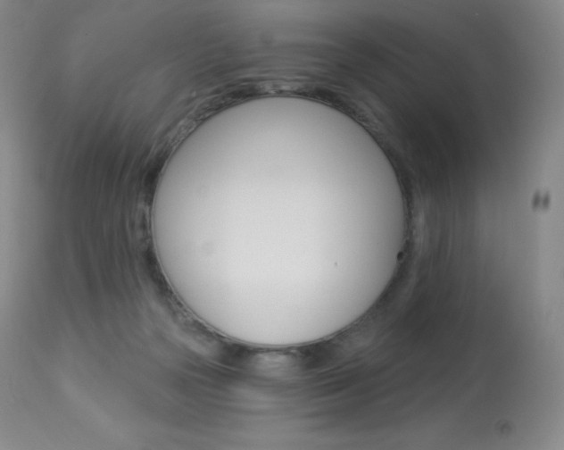 X0000113920169200909241338