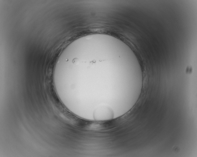 X0000113920171200909241338