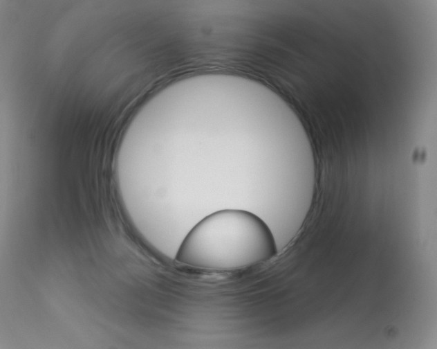 X0000113920172200909241338