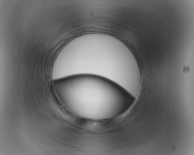 X0000113920174200909241338