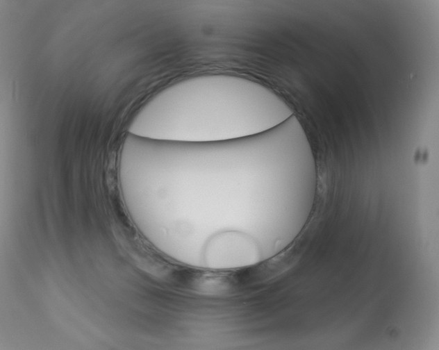 X0000113920175200909241338