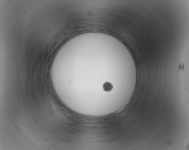 X0000113920176200909241338