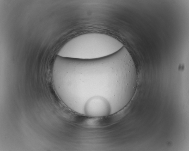 X0000113920178200909241338