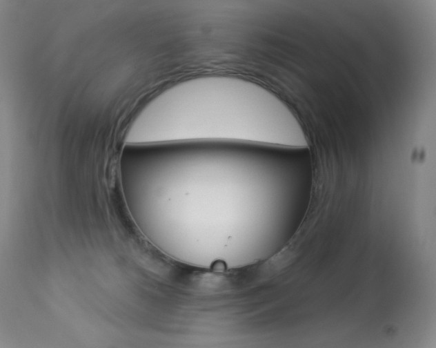 X0000113920180200909241338