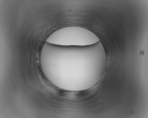 X0000113920182200909241338