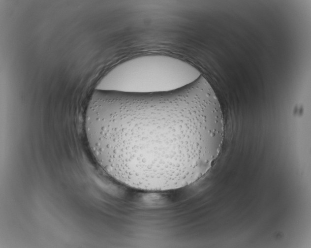 X0000113920183200909241338