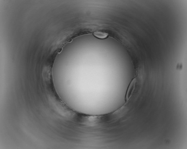 X0000113920184200909241338