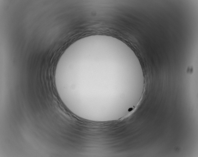 X0000113920186200909241338