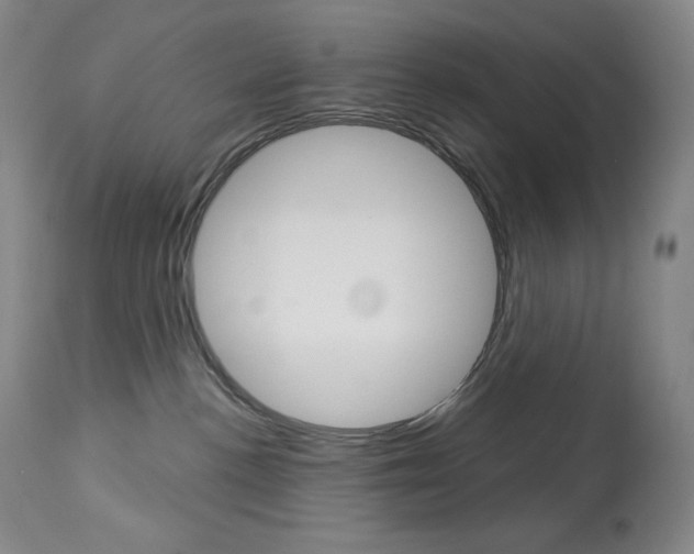 X0000113920188200909241338