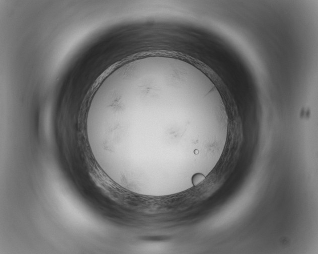 X0000113920189200909241338